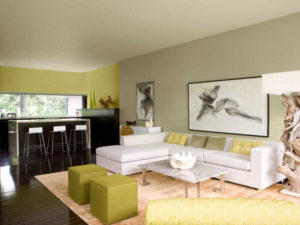 Wall Color Ideas For Living Room
