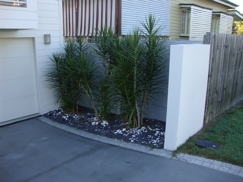 garden boundary wall design