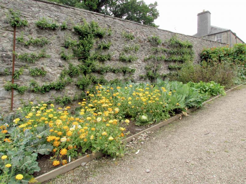 garden wall structural design