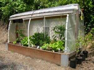 unique raised garden bed designs