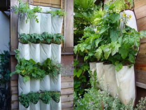 walled vegetable garden design