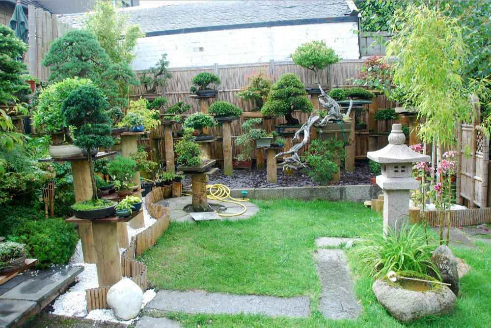 bonsai garden