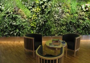 wall garden indoor